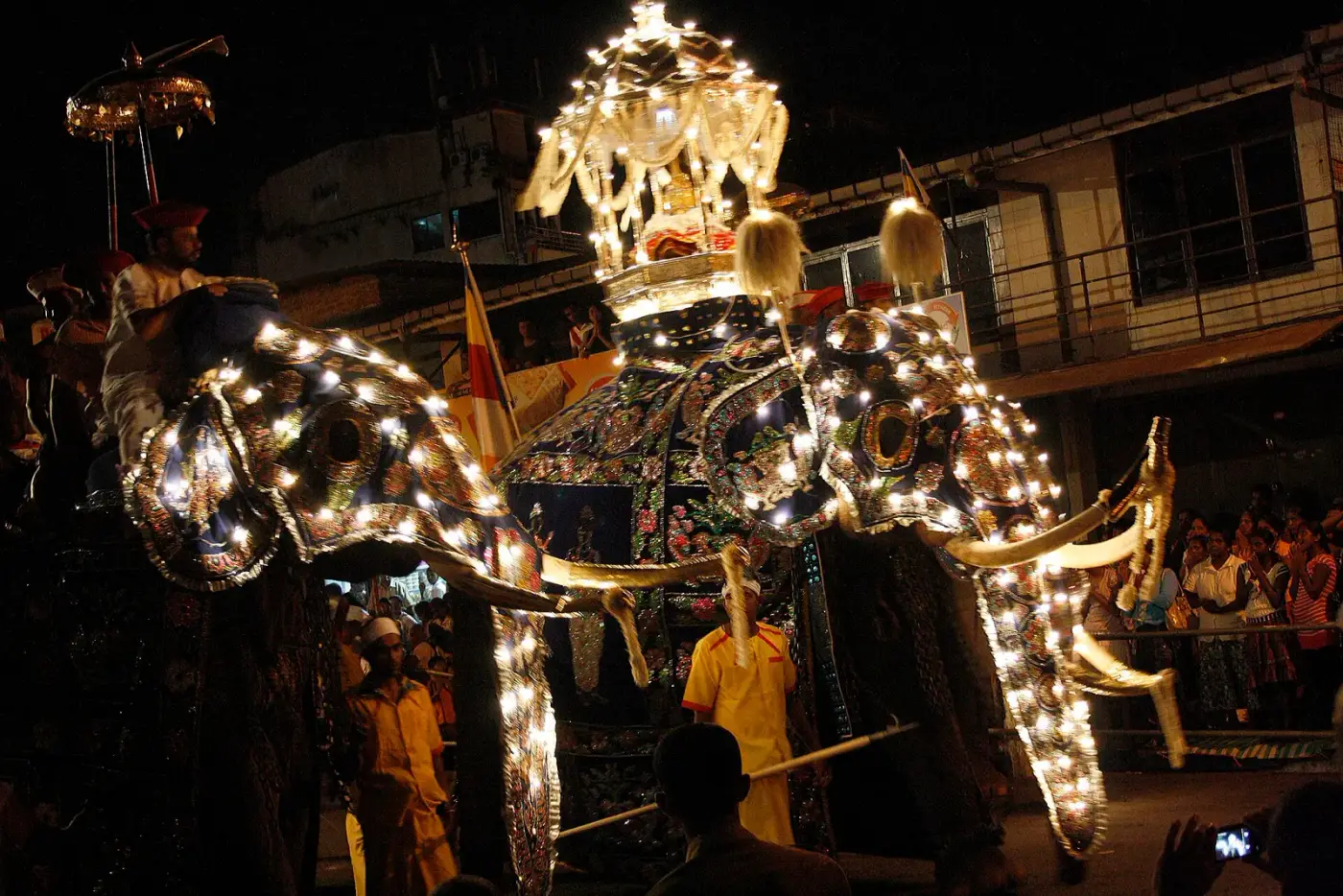 A ceremonial elephant lit up for the Kandy Esala Perahera procession