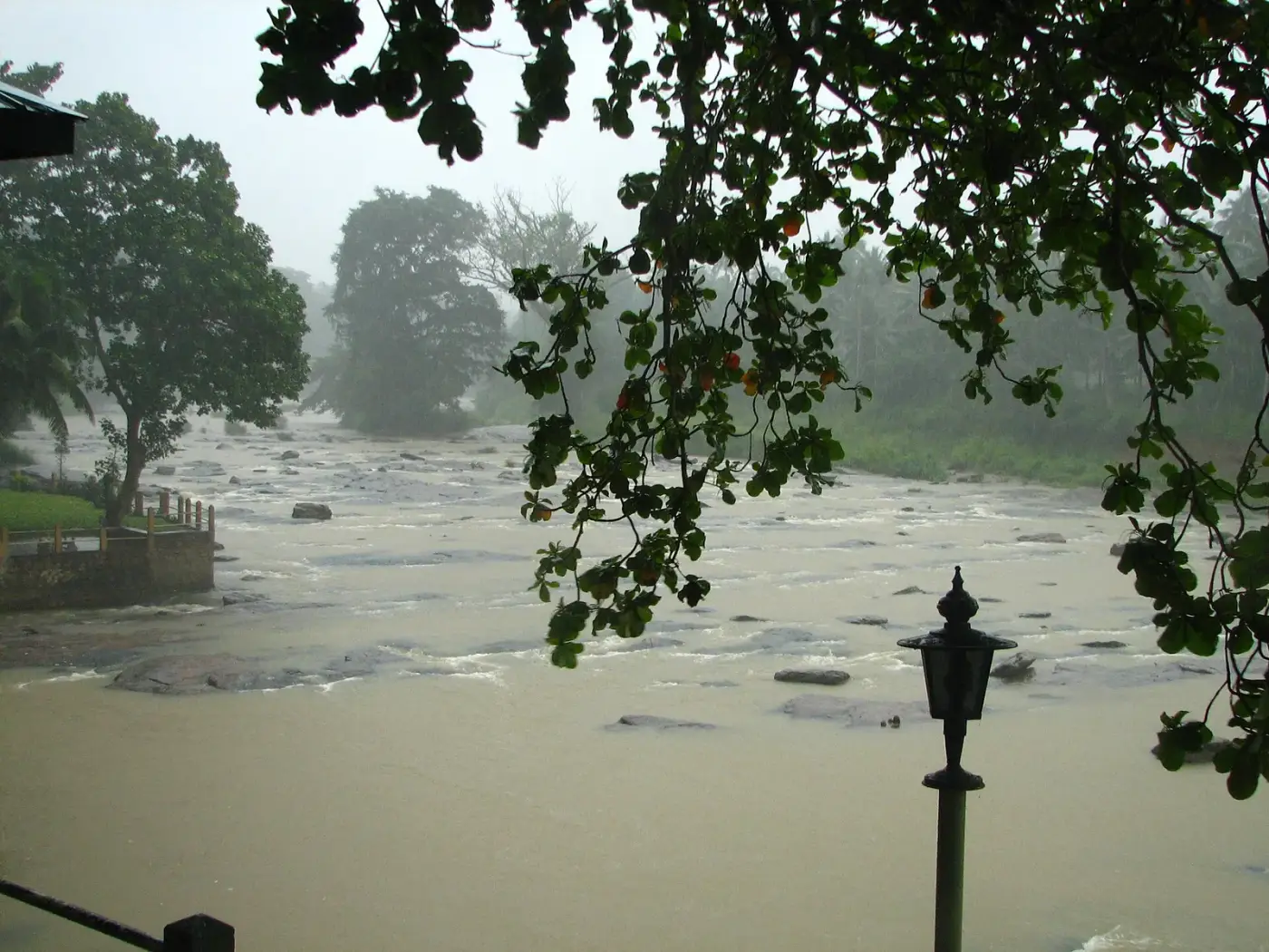A river swollen by monsoon rain in Sri Lanka, with mist over the trees