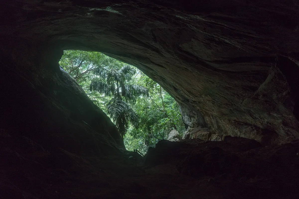 Looking out from inside the Ravana Cave near Ella towards green forest